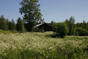 habitat campagnard par habitat automatisme