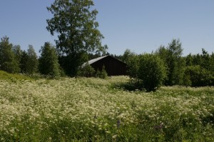 Astuces : Où trouver un salon de l'habitat en Mai 2010 !