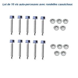 Xtremeauto Lot De 10 Clips De Fixation Auto Multiusage - Vis Pour Plaque D'immatriculation, Habillage, Etc.