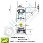 Encombrement pivots portail battant IBFM 438439P