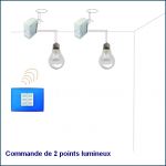Kit commande radio éclairage Nice WSB 2 points lumineux